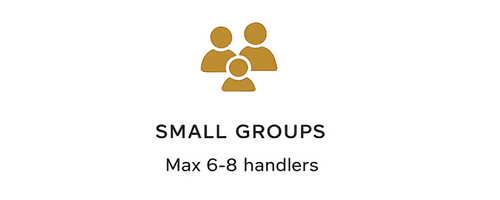 Small Groups