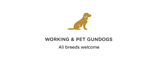 Working & Pet Gundogs